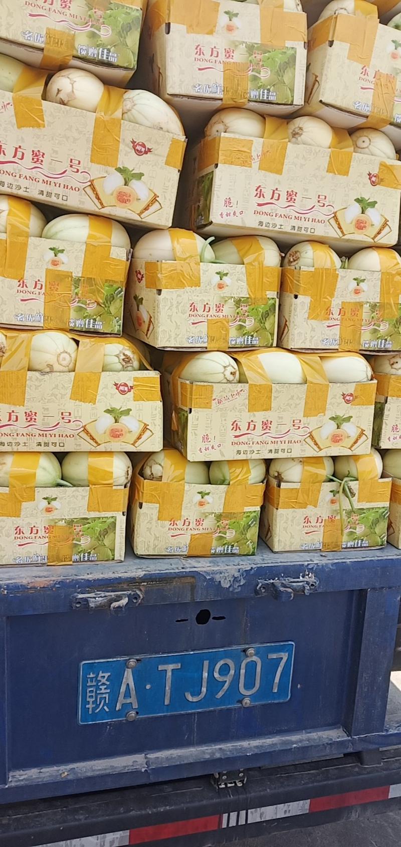 精品东方蜜，合作社统一包装，台州市海边纱土香又甜大量上市