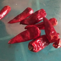 干辣椒