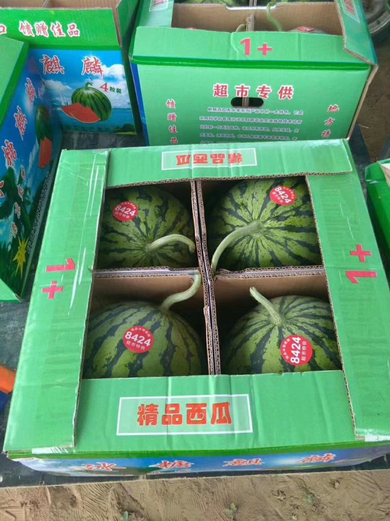 自家工厂西瓜全国包邮