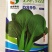 青梗小青菜种子，德赛种业夏季耐热品种，夏之丰，