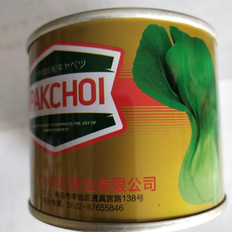 青梗小青菜种子，德赛种业夏季耐热品种，夏之丰，