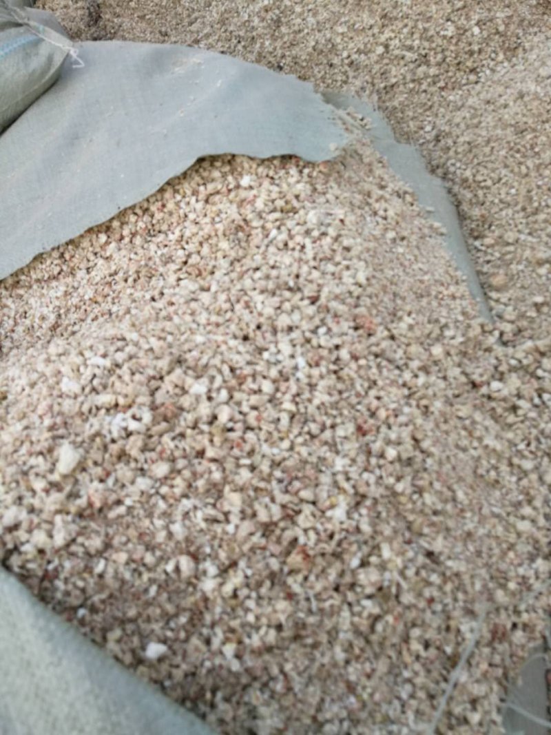 玉米芯（量大从优）粗细搭配用于栽培平菇、大球盖等优质原料