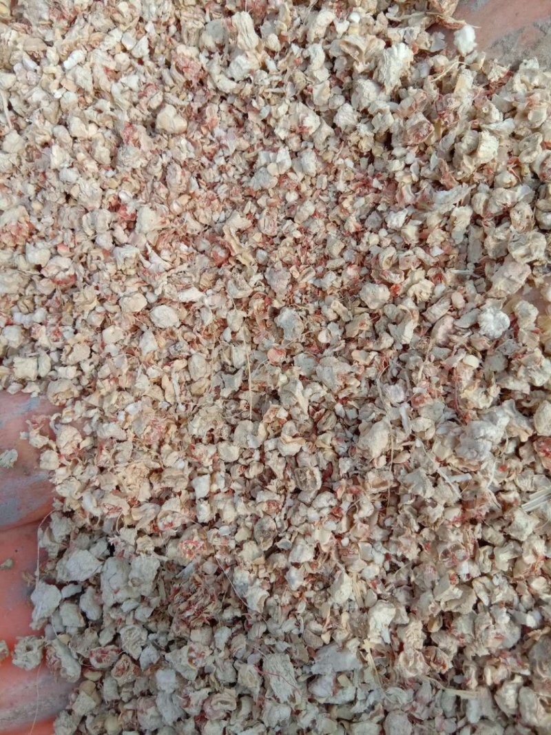 玉米芯（量大从优）粗细搭配用于栽培平菇、大球盖等优质原料