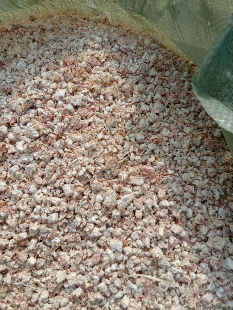 玉米芯（量大从优）粗细搭配用于栽培平菇、大球盖等优质原料