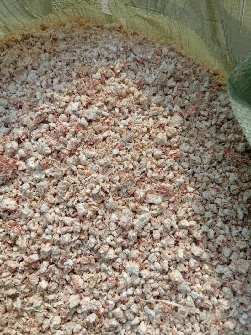 玉米芯（量大从优）粗细搭配用于栽培平菇、大球盖等优质原料