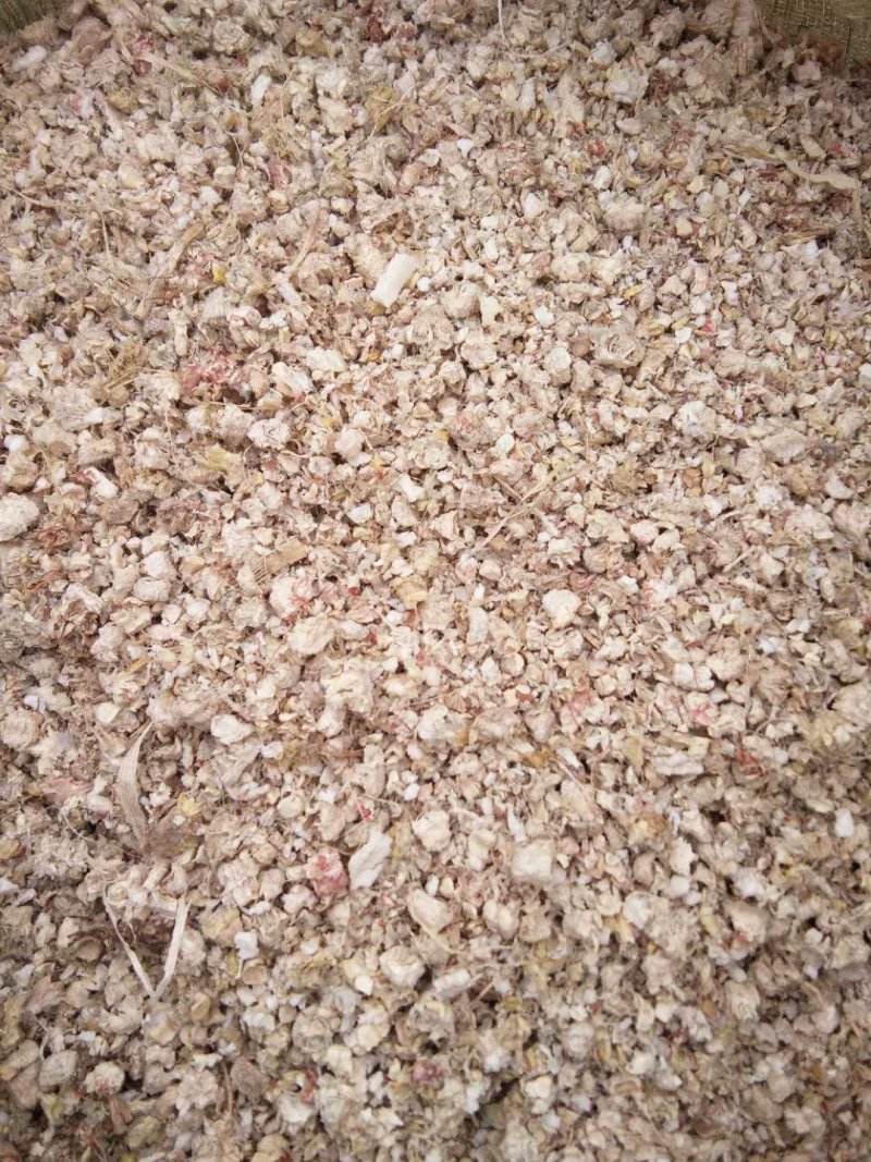 玉米芯（量大从优）粗细搭配用于栽培平菇、大球盖等优质原料