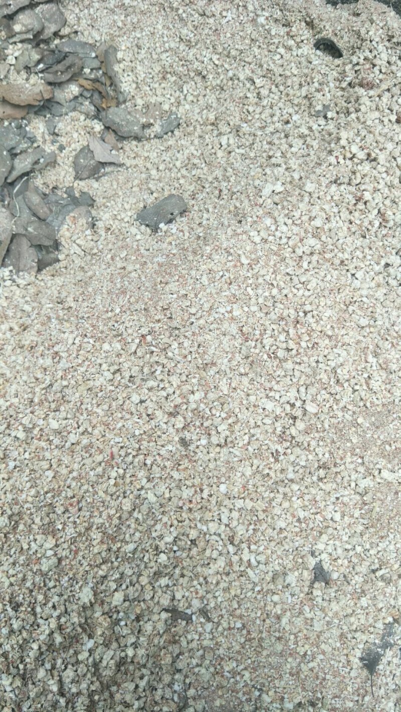玉米芯（量大从优）粗细搭配用于栽培平菇、大球盖等优质原料