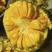 海南菠萝蜜产地直销批发个个饱满脆又香甜。。。