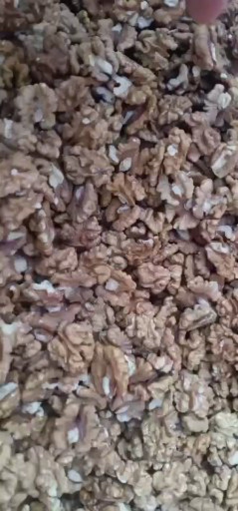 【推荐】新彊185白核桃仁货源充足保质保量视频看货