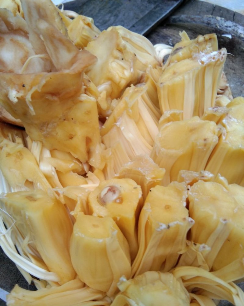 广东菠萝蜜包大肉厚甜脆。欢迎各地老板来电咨询