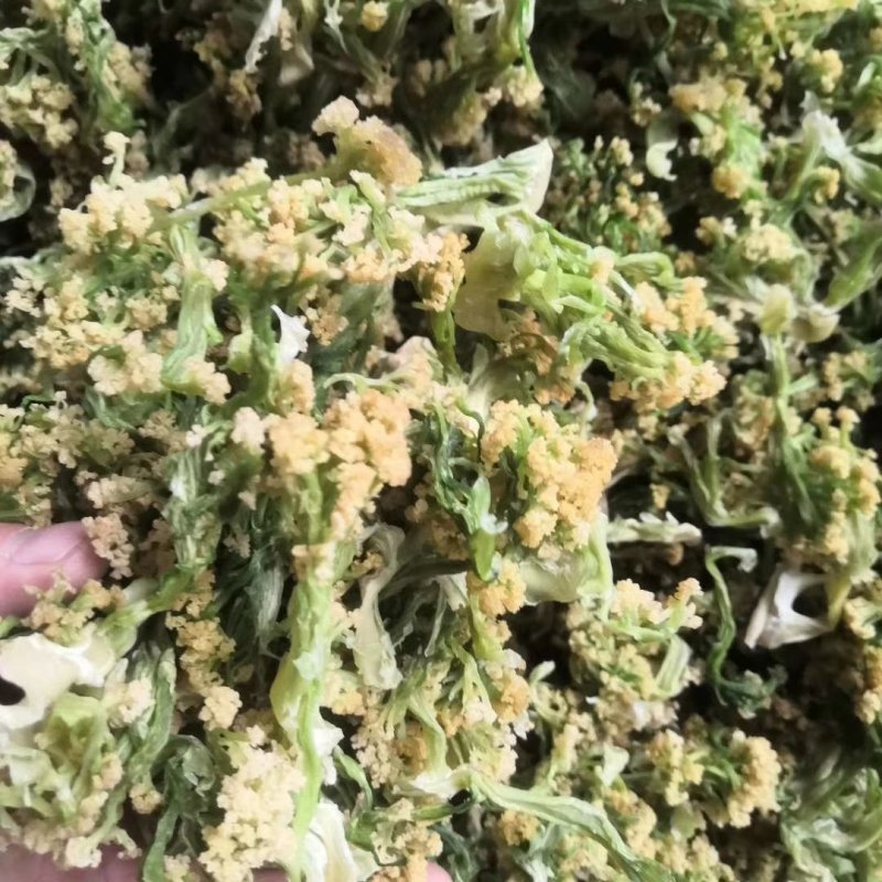 福建花菜干，色泽鲜艳，细沫少，冷库保存鲜新度好