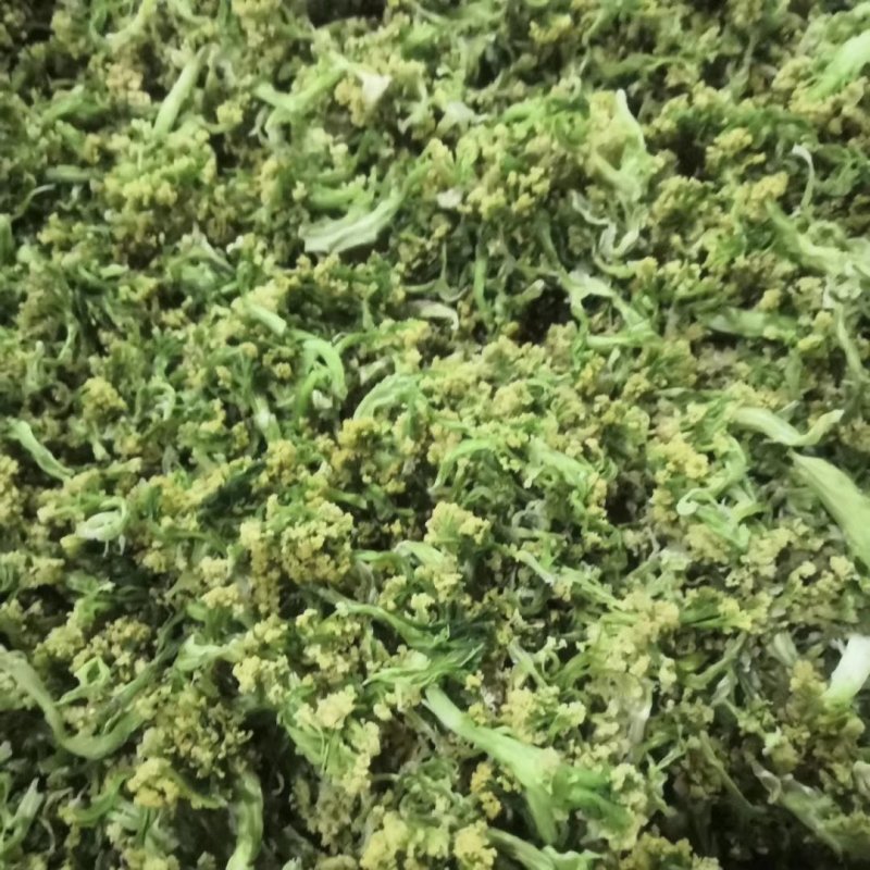 福建花菜干，色泽鲜艳，细沫少，冷库保存鲜新度好