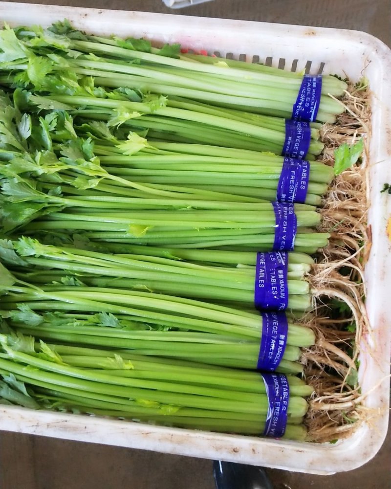 四季小山芹，超市，市场直供
