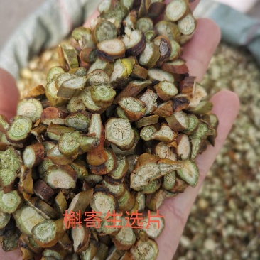 槲寄生山东无硫色泽好干净无杂一公斤起发货量大从优！