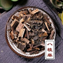 八棱麻，产地直供道地药材，药典标准支持线上交易保障