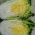 黄心菜，半标菜