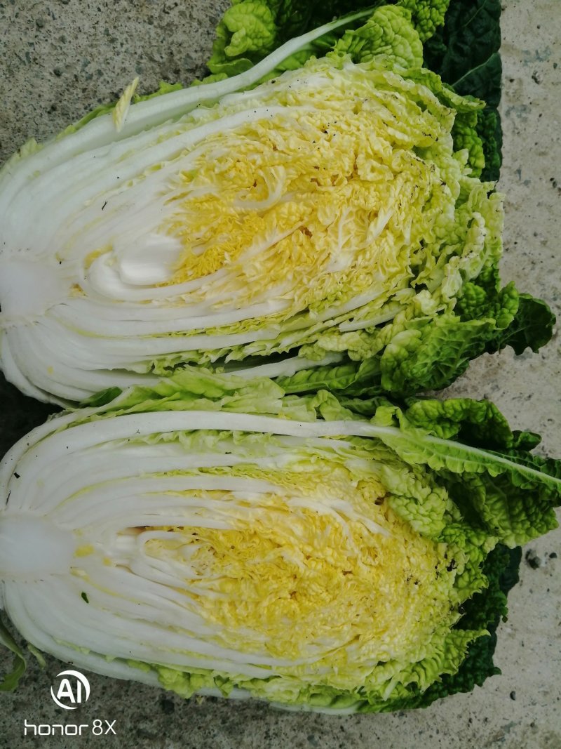 黄心菜，半标菜