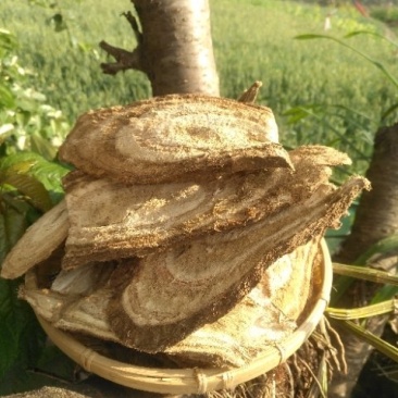 优质生态葛根干片高含量价格低