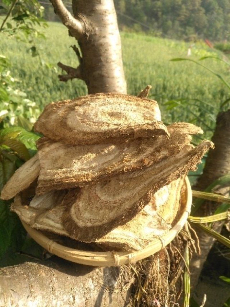 优质生态葛根干片高含量价格低
