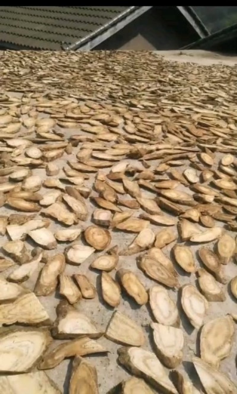 优质生态葛根干片高含量价格低