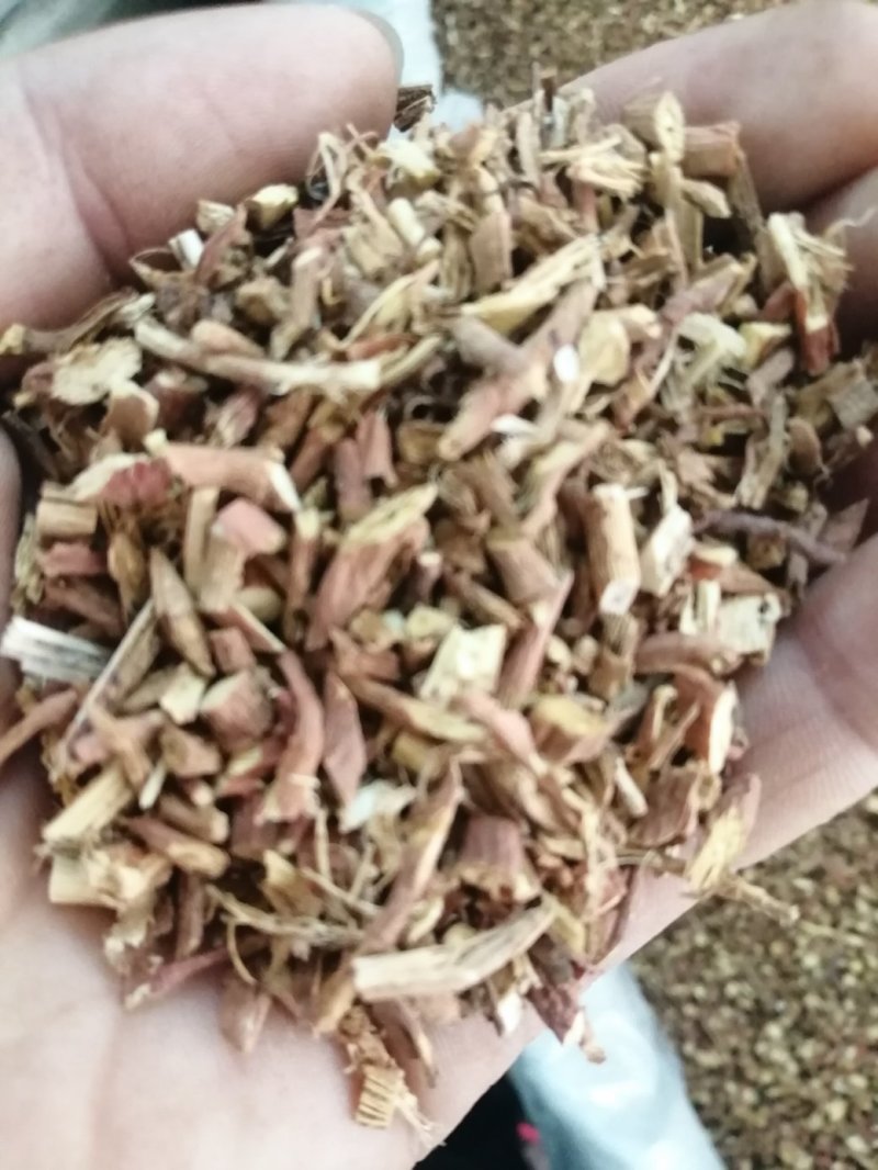甘草粒，红皮甘草粒，颜色漂亮干度好，大量现货供应