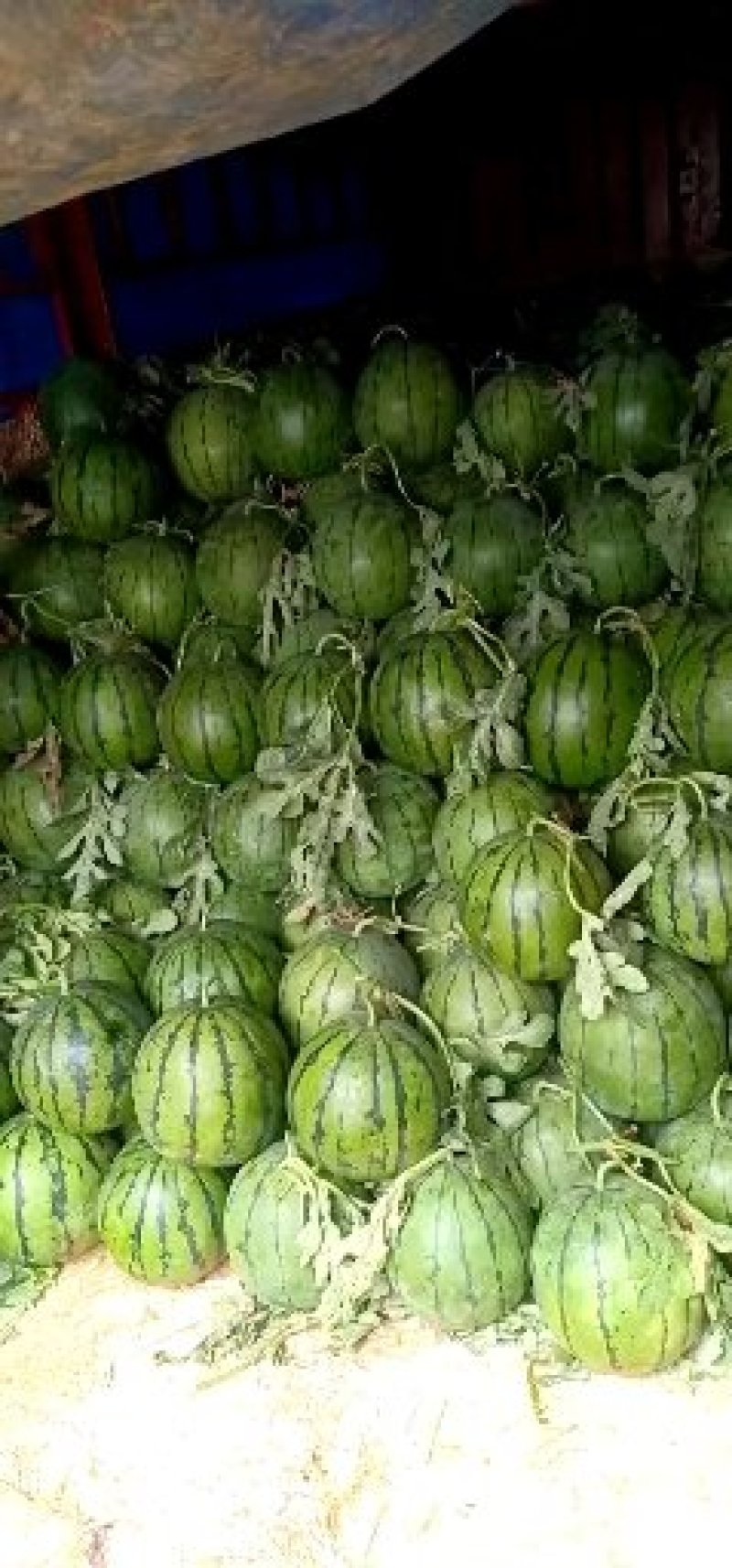 甜王西瓜