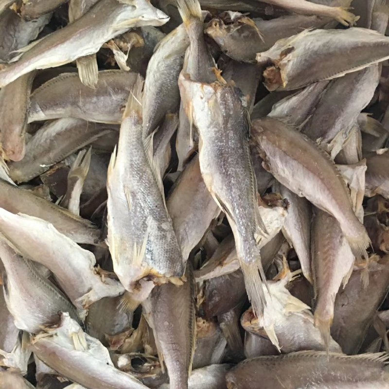 深海天然黄花鱼干去头黄花鱼干送广告录音