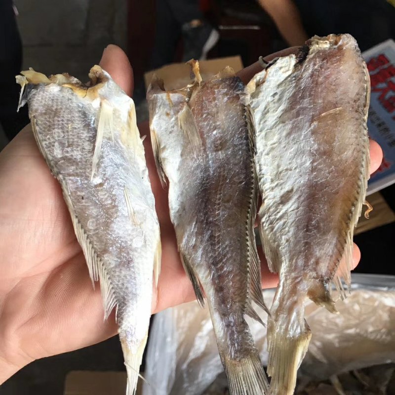 深海天然黄花鱼干去头黄花鱼干送广告录音