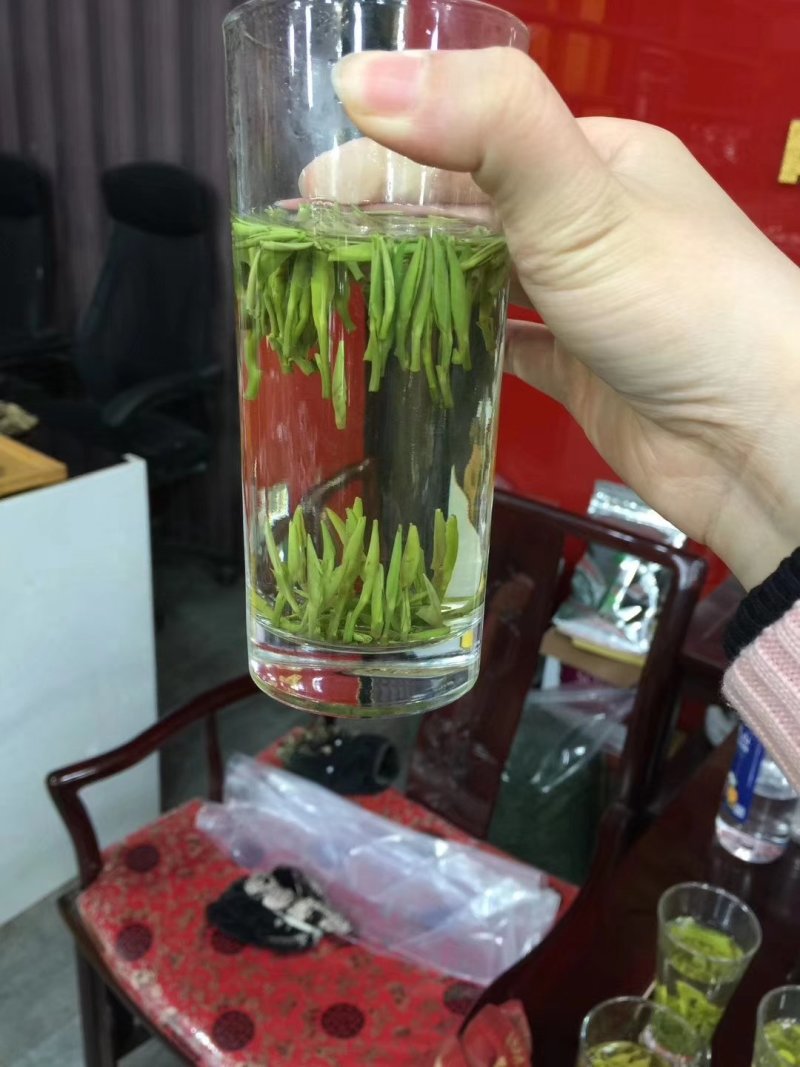 新茶湄潭翠芽250g包邮