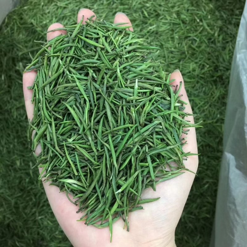新茶湄潭翠芽250g包邮