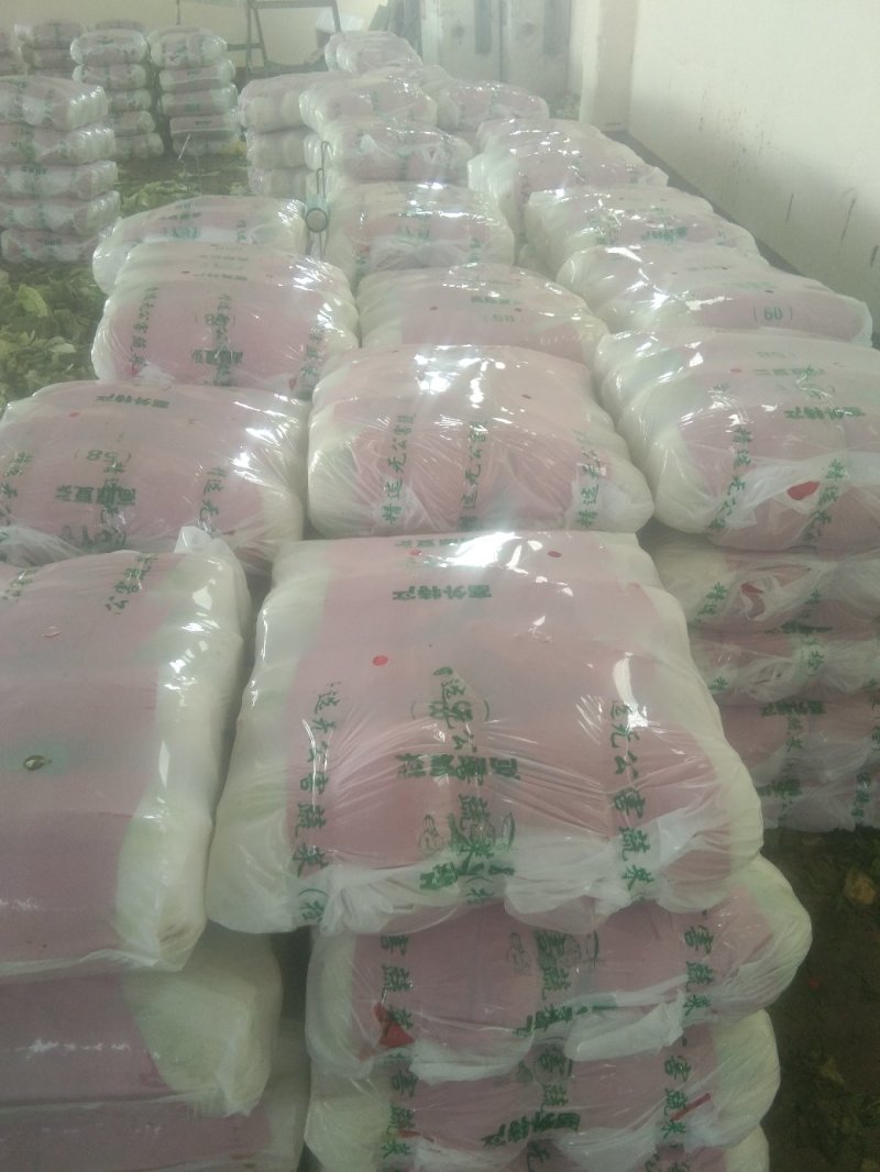黄心白菜