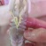山东太虾菇，皮皮虾，鲜活发货