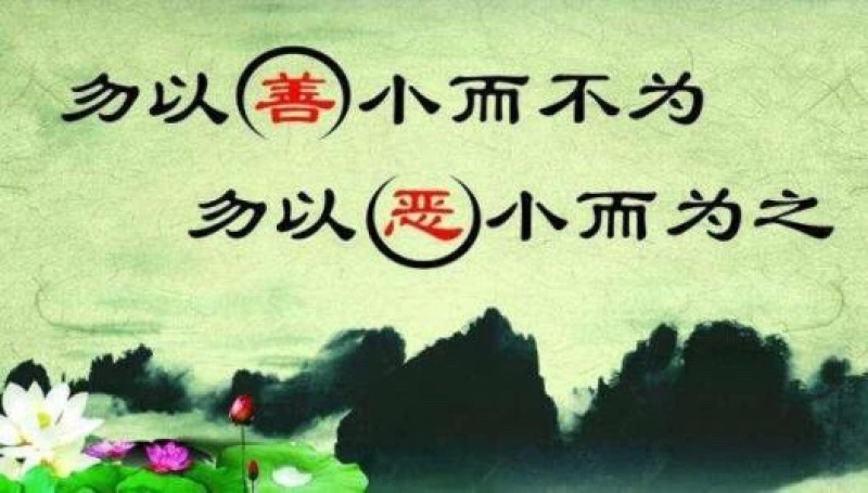 8424，美都，711，久甜，早佳，早春系列