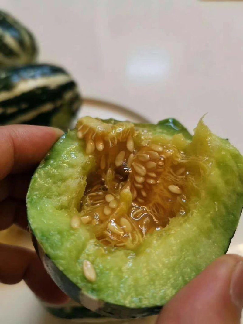 山东甜瓜