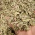 罗布麻叶大叶小叶均有批发零售
