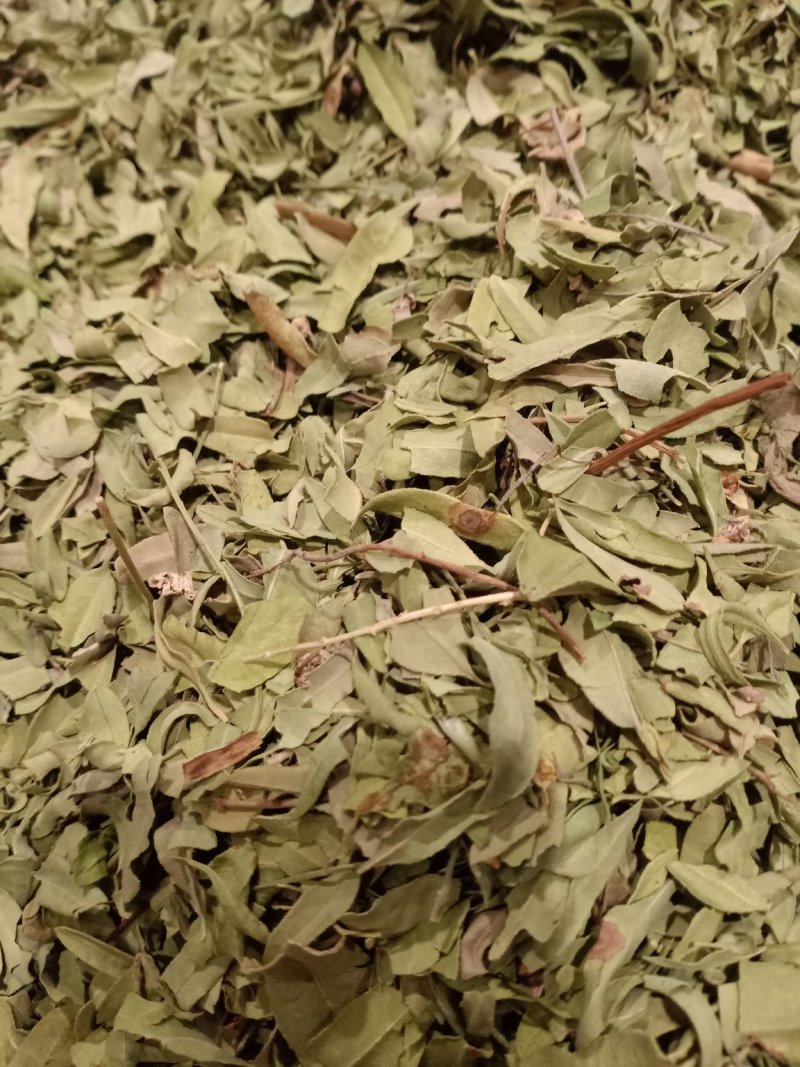 罗布麻叶大叶小叶均有批发零售
