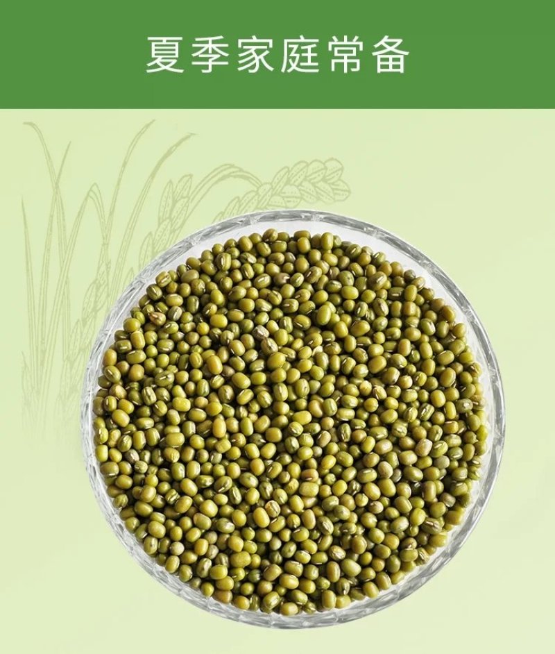 东北特产～绿小豆～质量好口感好！