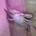 鲜活梭子蟹，物美价廉，线上交易