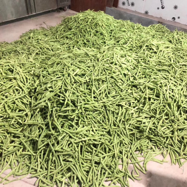 新鲜蔬菜，每天供应