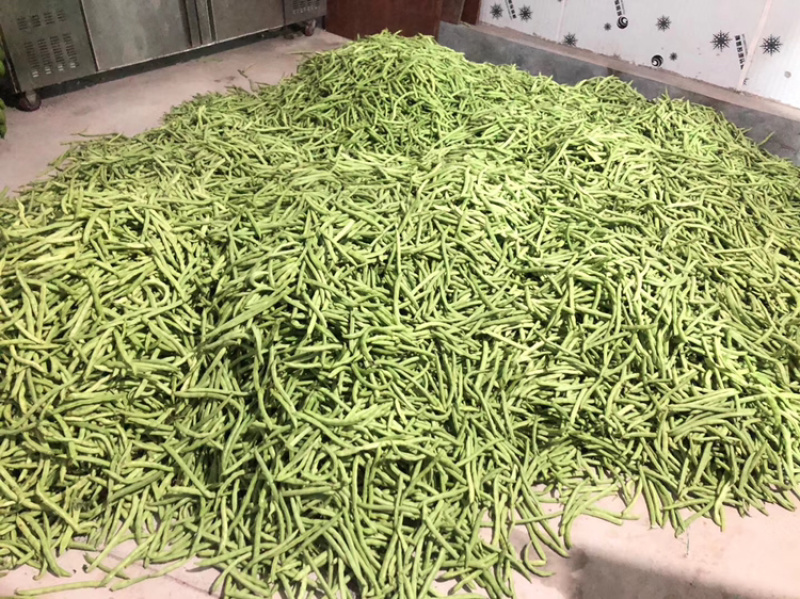 新鲜蔬菜，每天供应