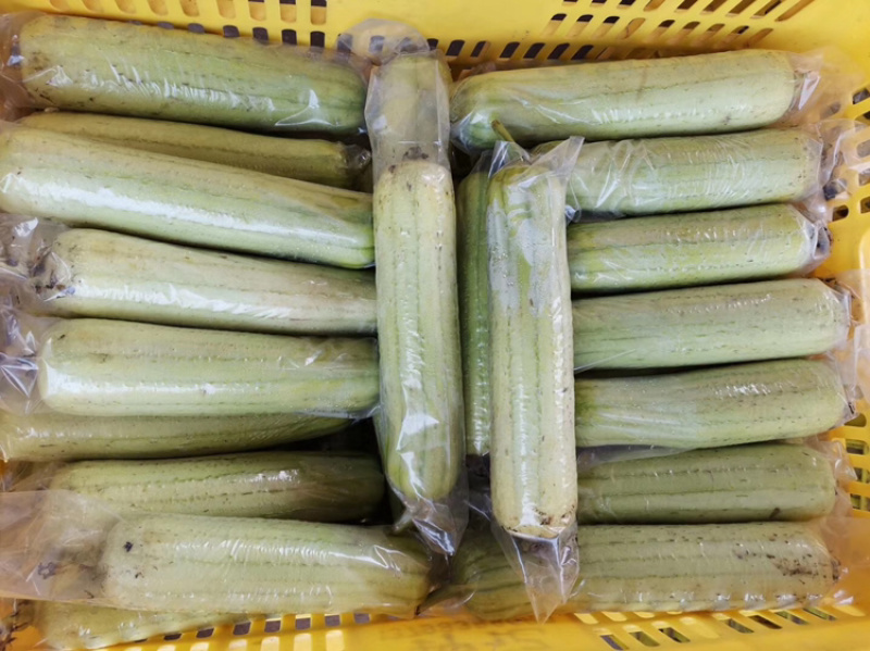 新鲜蔬菜，每天供应