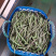 新鲜蔬菜，每天供应