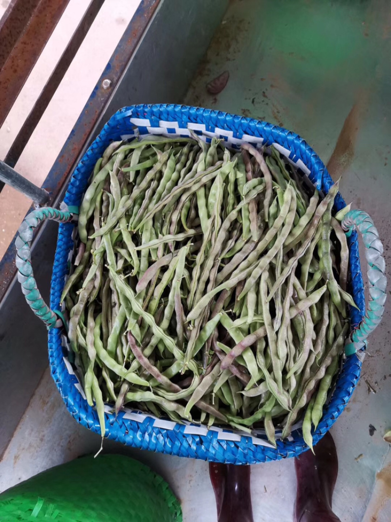 新鲜蔬菜，每天供应