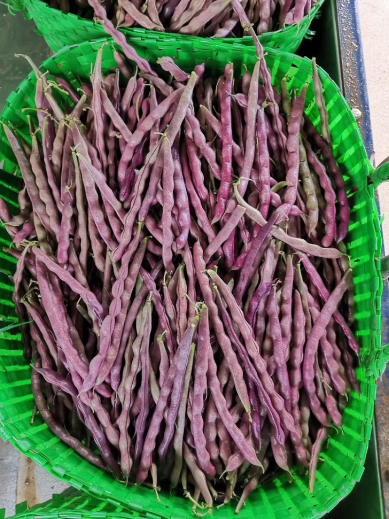 新鲜蔬菜，每天供应