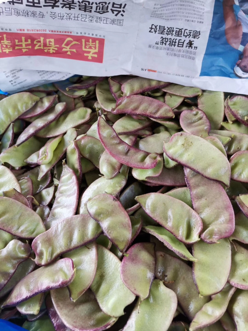 新鲜蔬菜，每天供应
