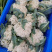 新鲜蔬菜，每天供应
