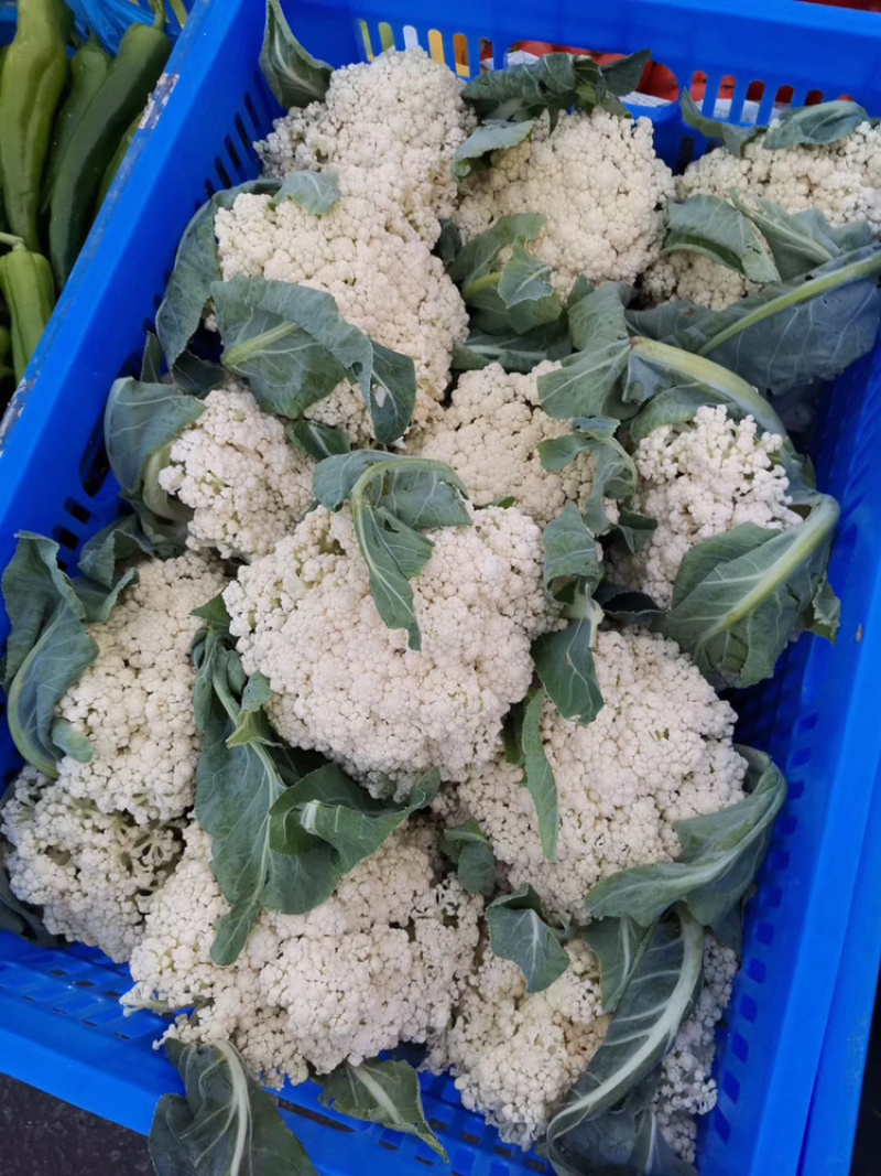 新鲜蔬菜，每天供应