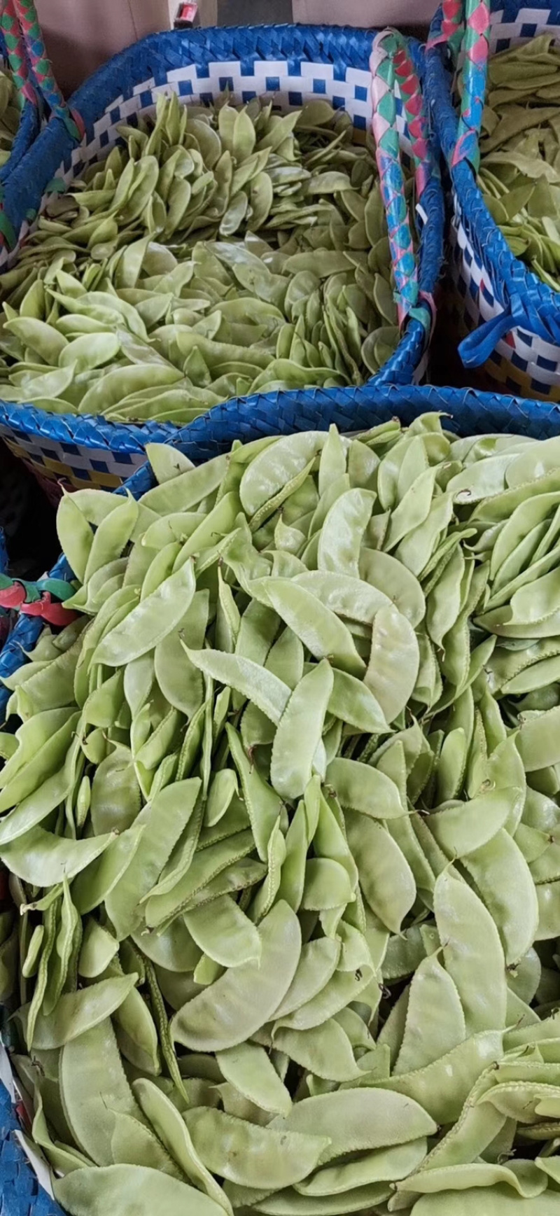 新鲜蔬菜，每天供应