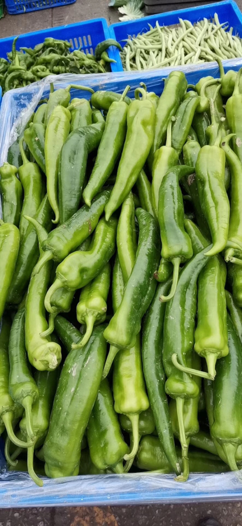 新鲜蔬菜，每天供应