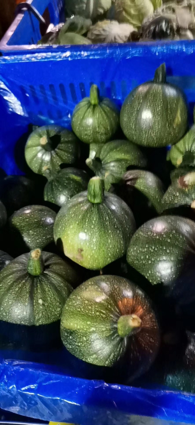 新鲜蔬菜，每天供应